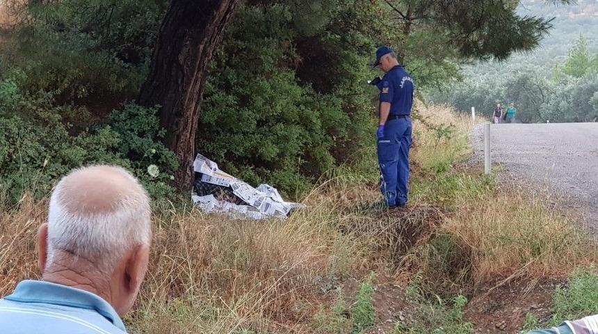 Balıkesir&rsquo;de Yıldırım &Ouml;l&uuml;me Neden Oldu