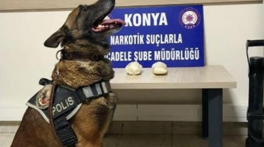 Narkotik K&ouml;peği Oscar, Otob&uuml;ste Uyuşturucu Madde Buldu