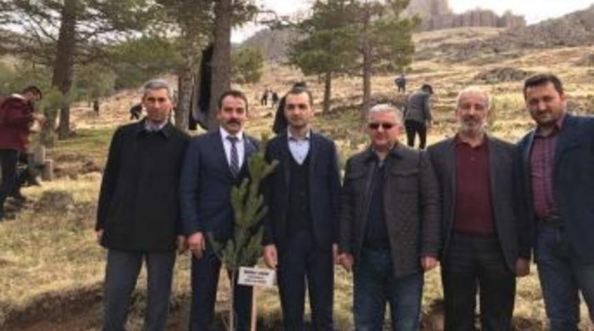 Develi Kaymakamı Duru, &Uuml;lk&uuml; Ocakları&rsquo;nın Ağa&ccedil; Dikme Etkinliğine Katıldı