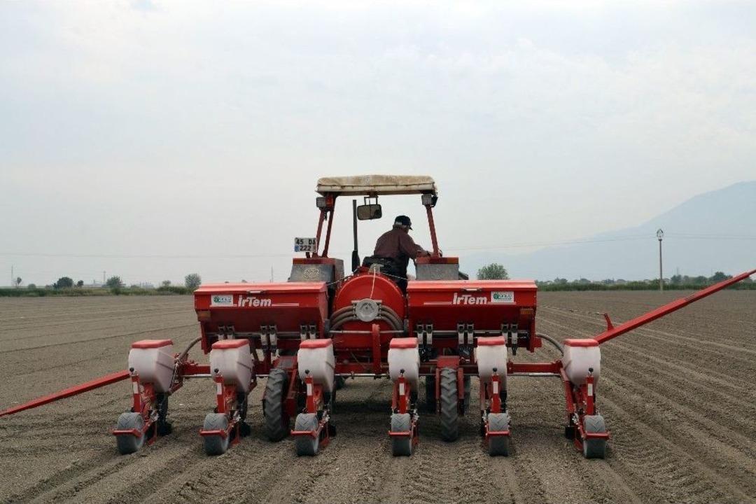 (&ouml;zel Haber) Beyaz Altın Toprakla Buluştu &Uuml;retici Destek İstedi