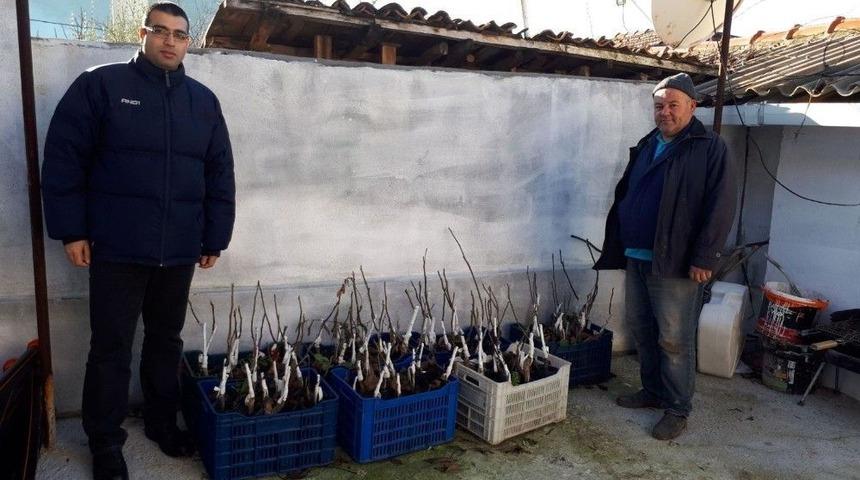 Meyve Yetiştiricilerine B&uuml;y&uuml;kşehirden Fidan Desteği