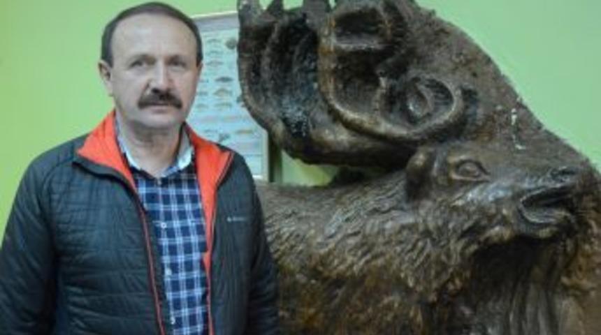 Yasak Avcılığın Başlıca Sebebi İnternetten Alınan Ruhsatsız Silahlar