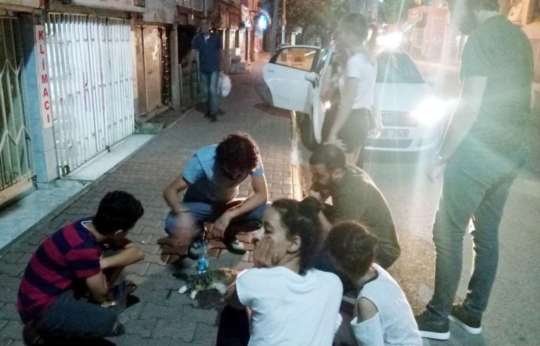 Antalya&rsquo;da 5. Kattan D&uuml;şen Kedi İ&ccedil;in Seferber Oldular
