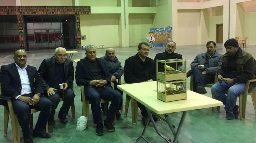 Kahramanmaraş&rsquo;ta Kanaryalar Yarıştı
