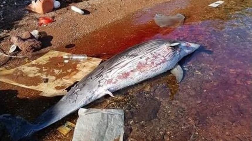 Marmaris&rsquo;te &Ouml;l&uuml; Yunus Karaya Vurdu