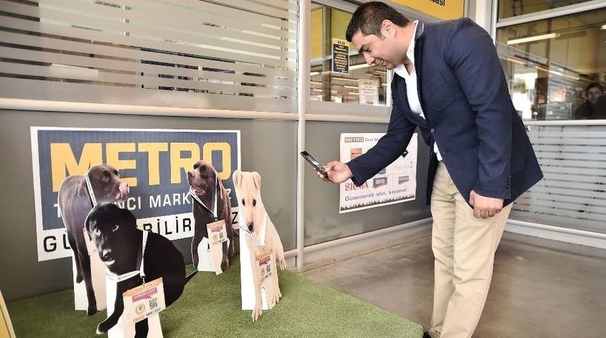 Hayvanları Qr Kod İle Sahiplendiler