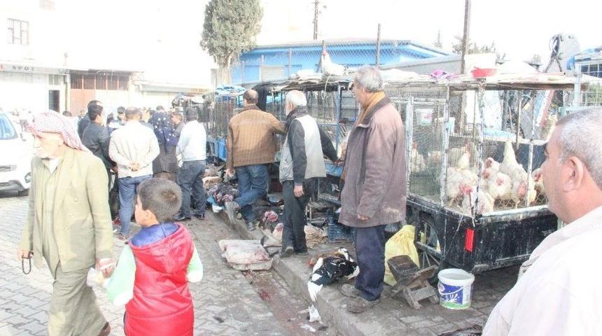Şanlıurfa&rsquo;da Hindilere İlgi Olmadı