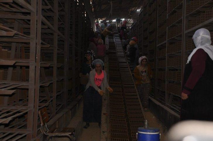 Günde 150 Bin Tuğla Üreten Fabrika Kızların Umudu Oldu G1