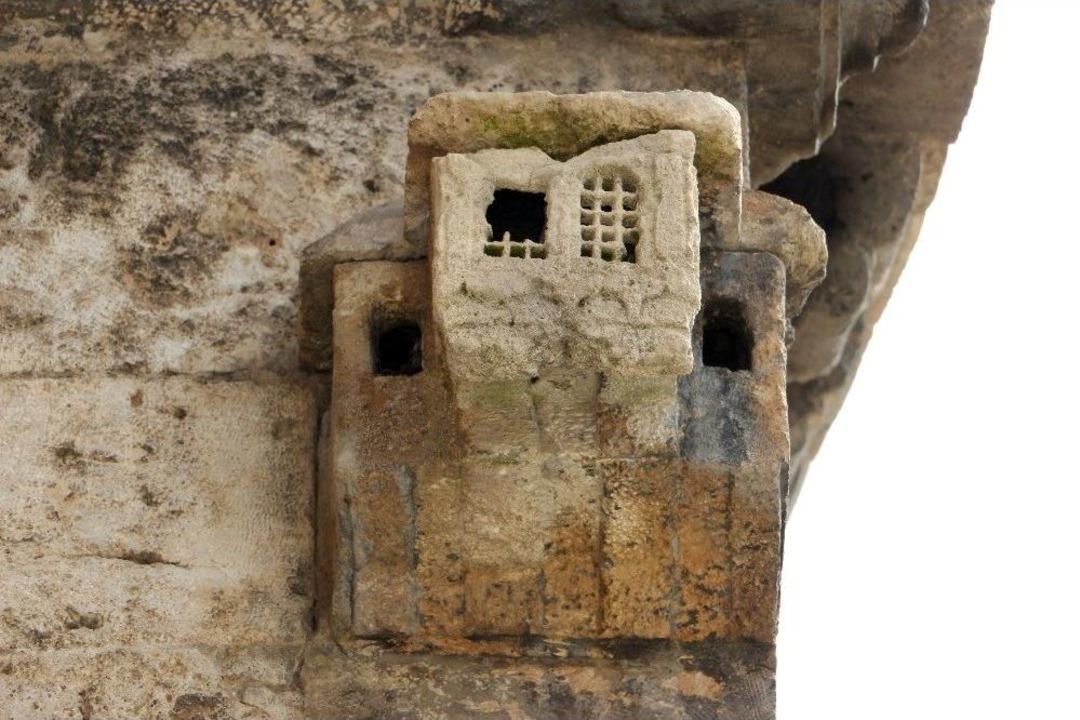 Bu Kuşevi Tam 339 Yaşında