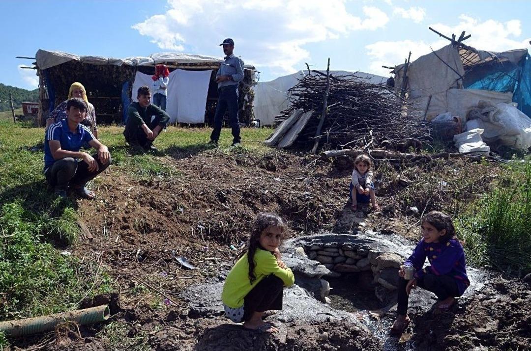 Ter&ouml;rden Arındırılan Yaylalarda Halaylı G&uuml;nler