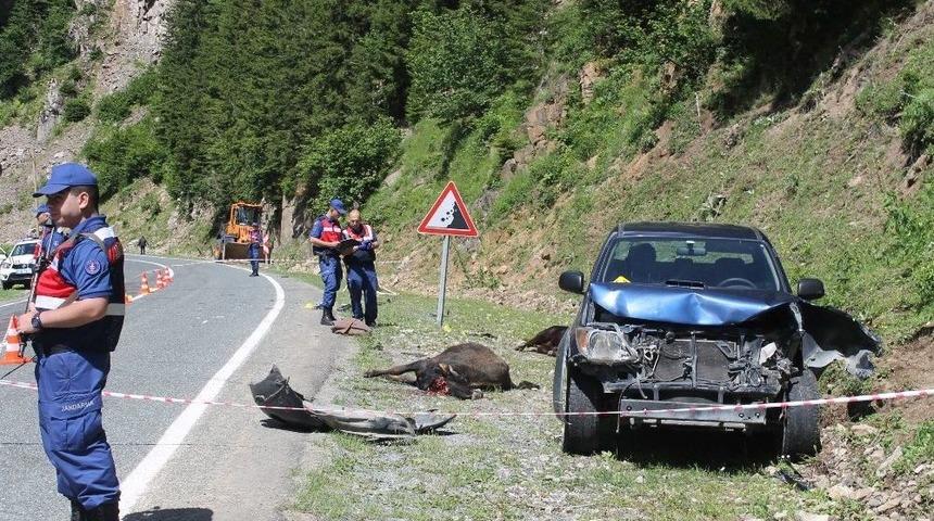 Rize&rsquo;de Kamyonet Yol Kenarında Hayvan Otlatan Anne İle Kızına &Ccedil;arptı: 1 &Ouml;l&uuml;, 1 Yaralı