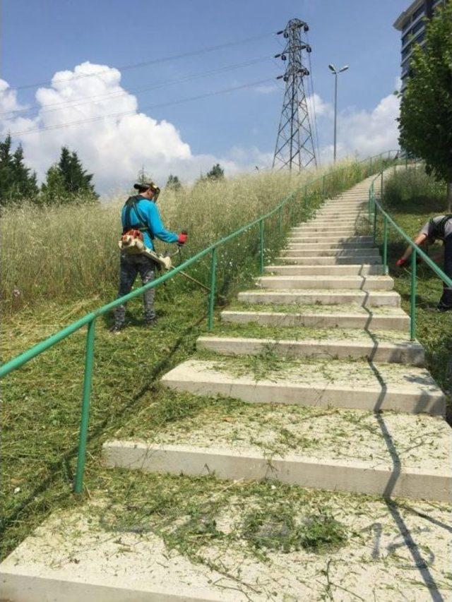 İzmit Belediyesi’nden Parklarda Bakım