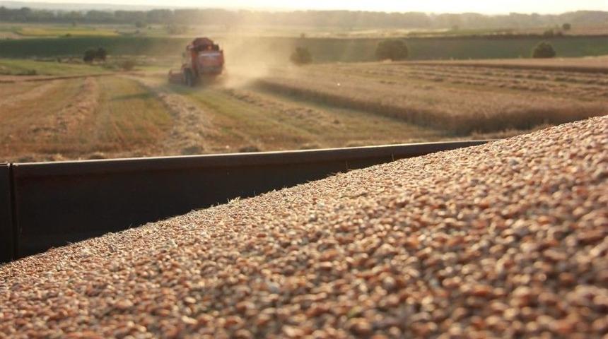 &Ccedil;ift&ccedil;ilerin &lsquo;buğday&rsquo; Hasadı Mesaisi S&uuml;r&uuml;yor