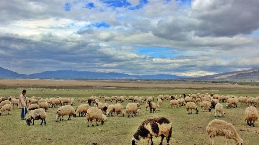 Erzincanlı &Uuml;reticileri Kuraklık Endişesi Sardı