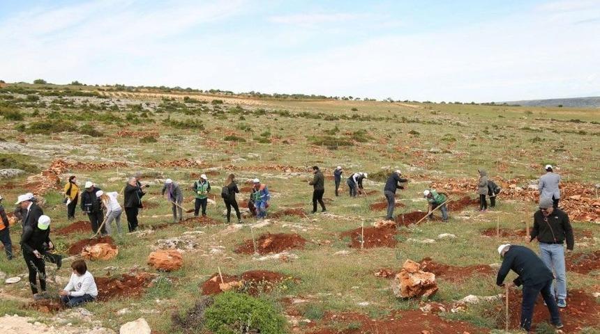En İyi Zeytinyağı &Uuml;reticileri &Ouml;d&uuml;llendirildi