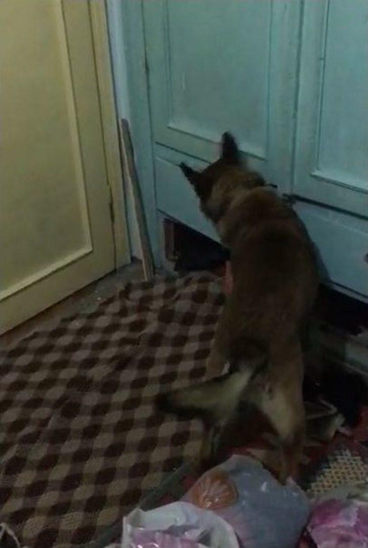 Koltuk Arasında Uyuşturucu Çıktı G2