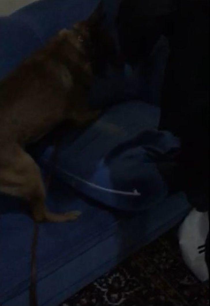 Koltuk Arasında Uyuşturucu Çıktı G4