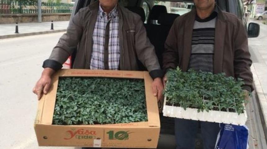 Bayburt&rsquo;ta &Ccedil;ift&ccedil;iye Fide Dağıtımı