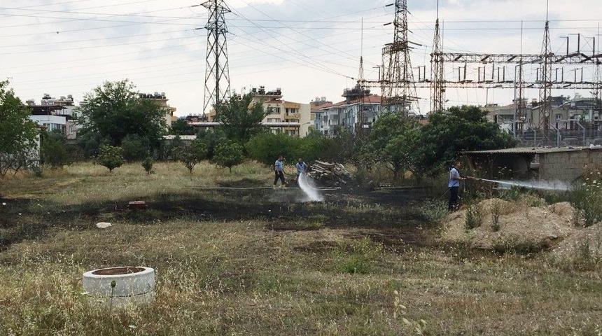 Milas&rsquo;ta Otluk Arazide Yangın
