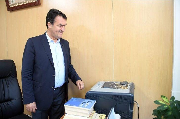 Makam Odasını Mesken Tutan Kumruların Yavruları Dünyaya Geldi G4