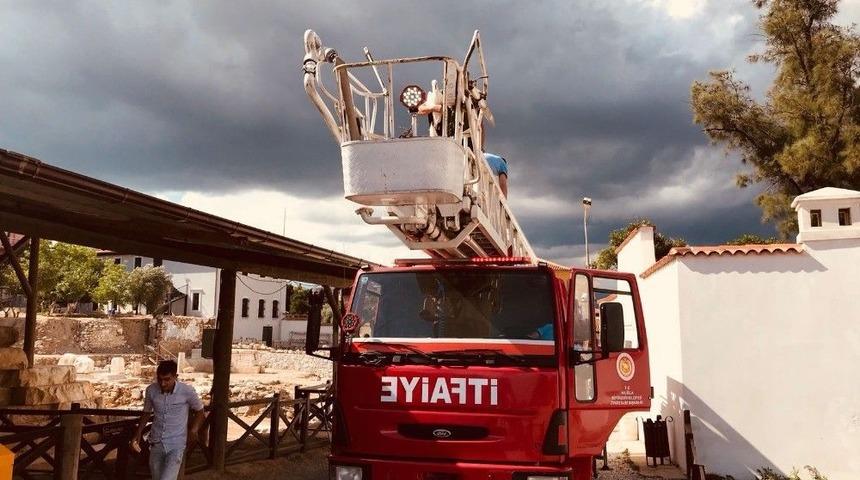 Uzunyuva&rsquo;nın Yavru Leyleği Yeniden Yuvasında