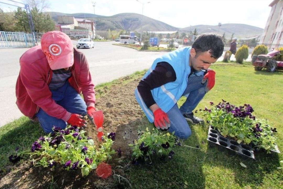 Bayburt&rsquo;ta 80 Bin Adet Menekşe Ve Lale Soğanı Toprakla Buluştu