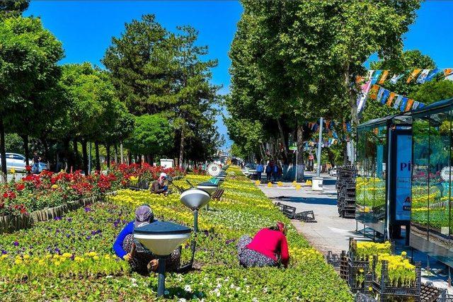 Malatya Rengarenk Çiçeğe Büründü