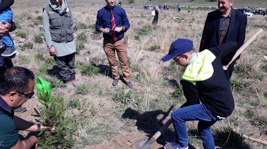 Afrin Şehitleri Anısına Fidan Dikildi