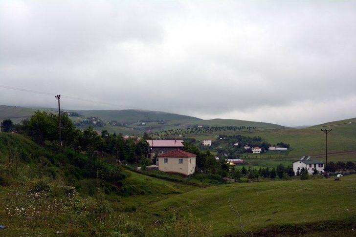 Aybastı Perşembe Yaylası Doğal Güzelliği İle Büyülüyor G2