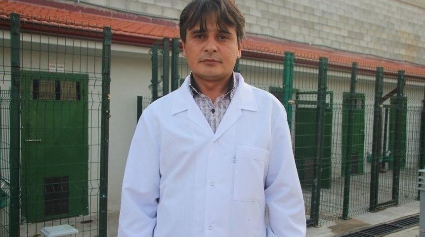 Avcılar Tarafından Vurulan Ak Pelikan Kurtarılamadı