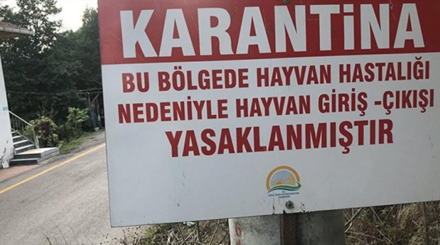 Kayseri'de 2 mahallede şarbon karantinası