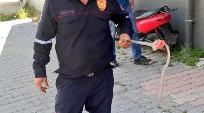 Emniyetin Bah&ccedil;esinde Yakalanan Yılan Doğaya Bırakıldı