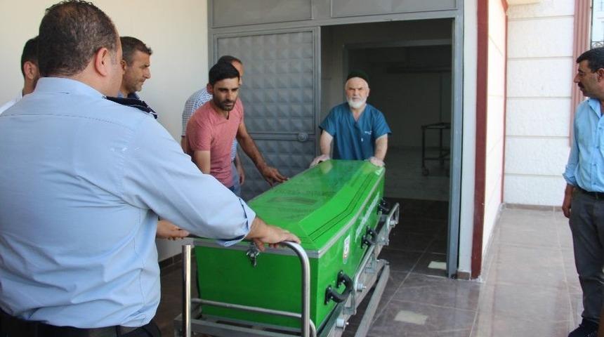 Yılanın Isırdığı Kadın Hayatını Kaybetti