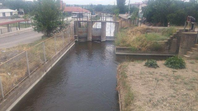 Koyun Otlatırken Sulama Kanalında Boğuldu