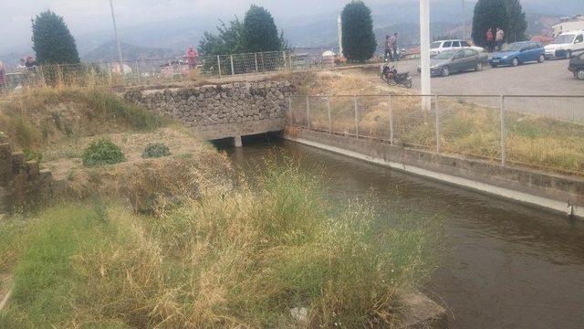 Koyun Otlatırken Sulama Kanalında Boğuldu