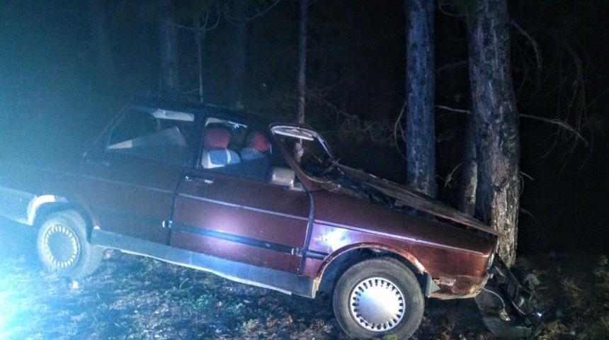 Kontrolden &Ccedil;ıkan Otomobil Ağaca &Ccedil;arptı: 1 Yaralı