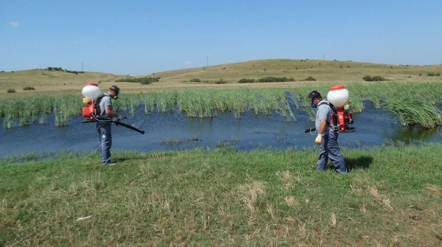 Vekt&ouml;rle M&uuml;cadele &Ccedil;alışmaları S&uuml;r&uuml;yor