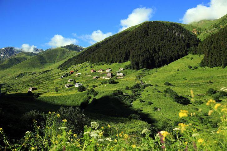 Rize'de 11 Ayder Yaylası daha bulundu!  G1