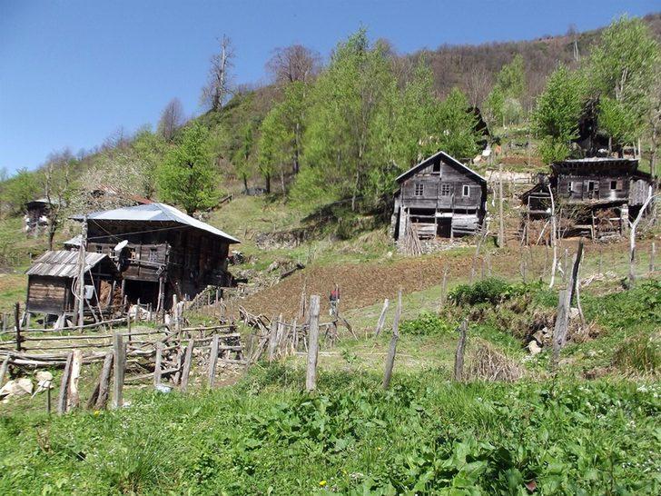 Rize'de 11 Ayder Yaylası daha bulundu!  G2