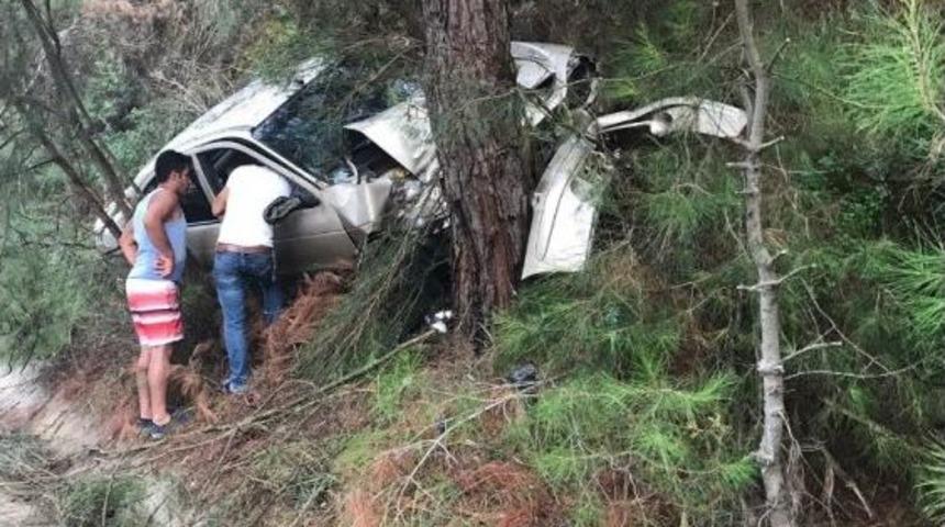 Alkoll&uuml; S&uuml;r&uuml;c&uuml; Ağaca &Ccedil;arptı