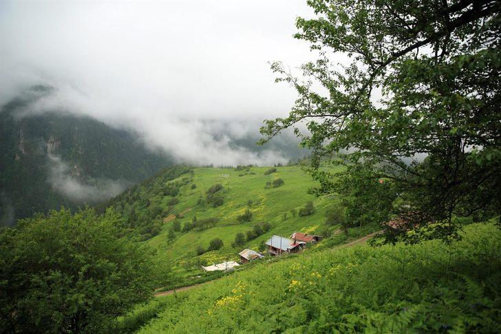 Rize'de 11 Ayder Yaylası daha bulundu!  G4