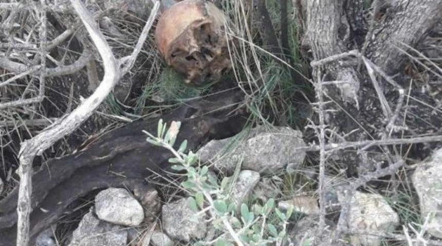 Mersin&rsquo;de &Ccedil;alılık Alanda Bir İnsana Ait Kemik Par&ccedil;aları Bulundu