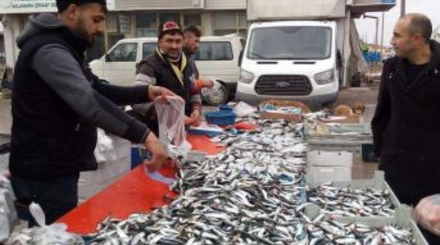 Alabalık Ve Palamut&rsquo;un Kilosu 12 Liradan Satılıyor
