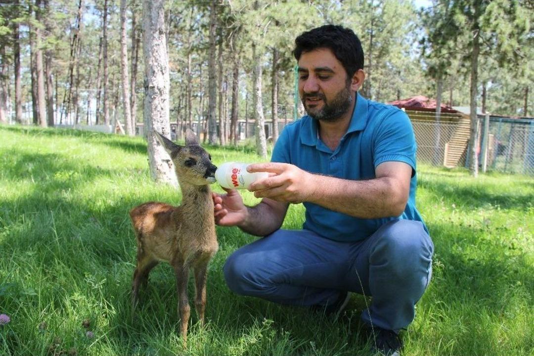 Annesi Telef Olan &rsquo;minnoş&rsquo;a Bebek Gibi Bakıyorlar