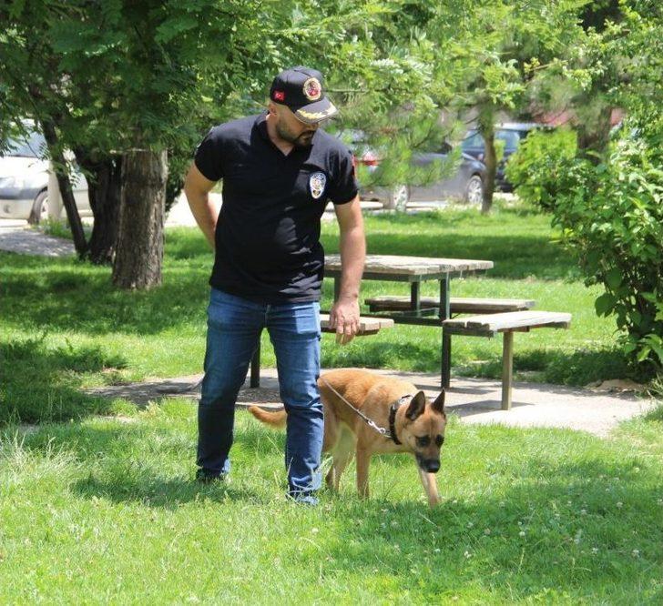 Eskişehir Narkotim Zehir Tacirlerine Geçit Vermiyor G5