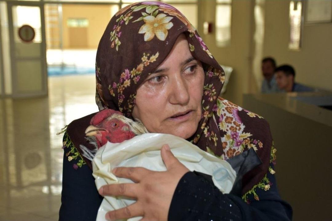 Ayağı Kırılan Horozu İ&ccedil;in G&ouml;zyaşı D&ouml;kt&uuml;