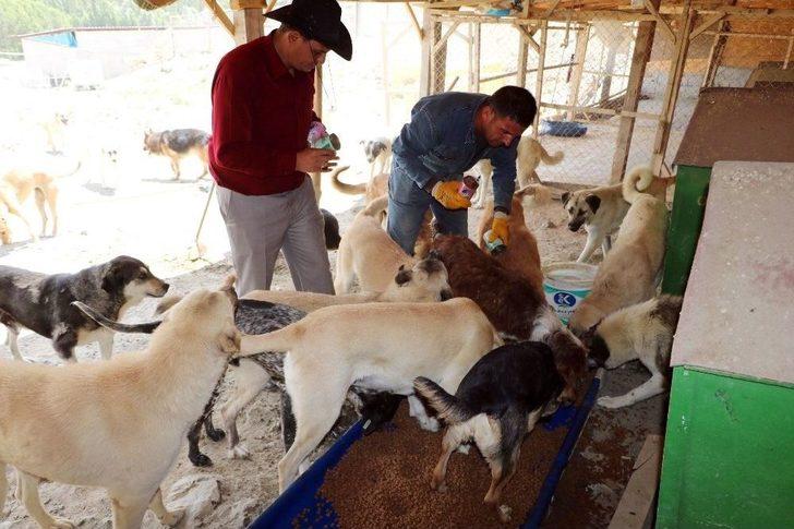Vaktinin Çoğunu Sadık Dostları Sokak Köpeklerine Adadı G4