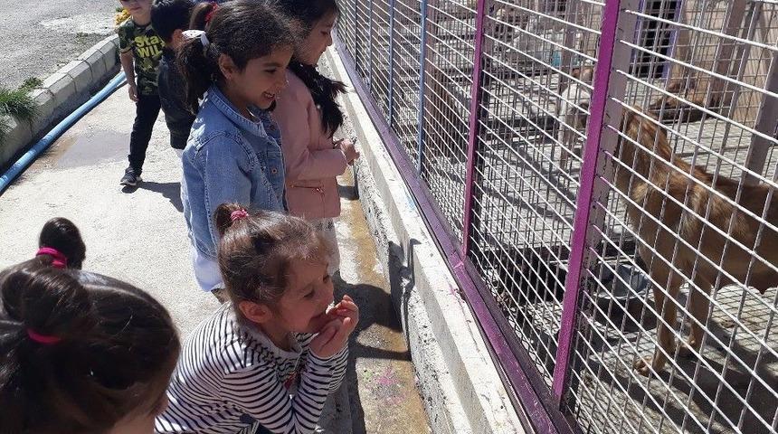 Minik &Ouml;ğrencilerden Sevimli Patilere Ziyaret