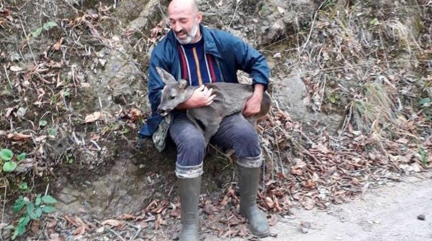 Avcılardan Ka&ccedil;an Karacayı Avcılar Kurtardı