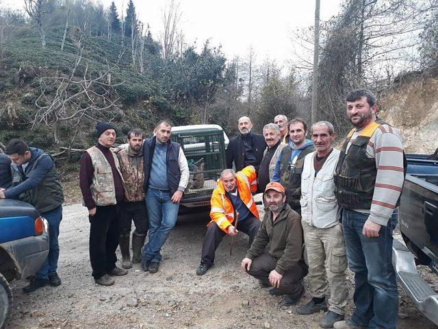 Avcılardan Kaçan Karacayı Avcılar Kurtardı